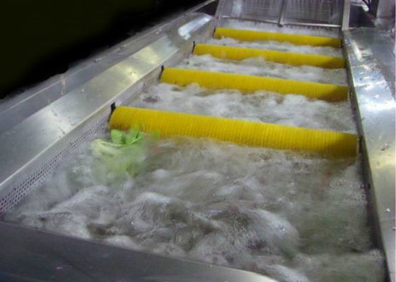 Κίνα Βιομηχανικός τύπος βουρτσών μηχανών φρούτων και λαχανικών καθαρότερος/μηχανών πλυντηρίων προμηθευτής