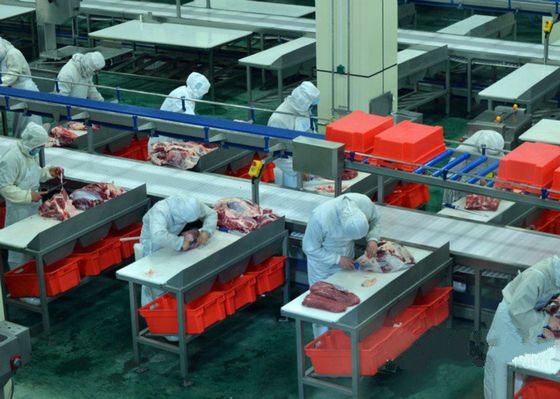 Κίνα Διασπασμένα βοοειδή γραμμών παραγωγής κρέατος βόειου κρέατος/γραμμών επεξεργασίας 100-300 ανά ταχύτητα ώρας προμηθευτής