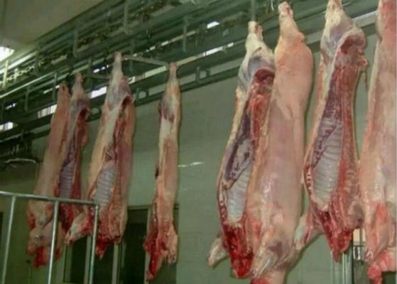 Κίνα Διασπασμένο σύστημα ελέγχου PLC εξοπλισμού σφαγείων γραμμών παραγωγής κρέατος πουλερικών χοιρινού κρέατος  προμηθευτής