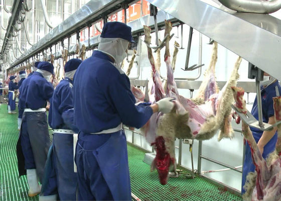 Κίνα Διασπασμένη σφαγή γραμμών παραγωγής κρέατος πρόβειων κρεάτων αιγών που μεταβιβάζει ολόκληρο τον τύπο επεξεργασίας προμηθευτής