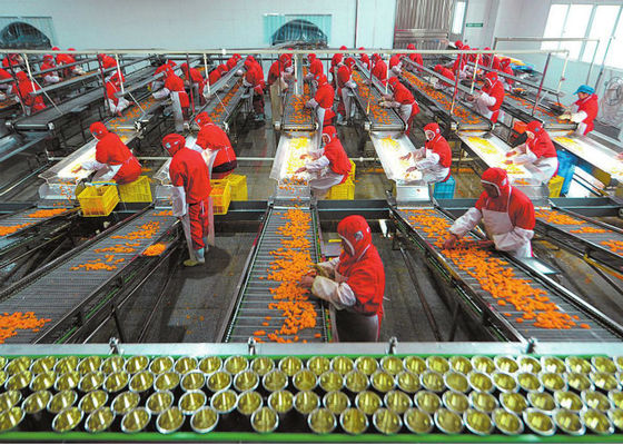 Κίνα Πλαστική κονσερβοποιημένη φλυτζάνι γραμμή παραγωγής προϊόντων, εξοπλισμός επεξεργασίας φρούτων και λαχανικών προμηθευτής