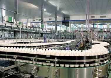 Κίνα Ποτό μπουκαλιών της PET που κατασκευάζει τη μηχανή που παράγει το φυστίκι ξύλων καρυδιάς να αρμέξει/το χυμό καλαμποκιού προμηθευτής