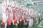 Διασπασμένα βοοειδή γραμμών παραγωγής κρέατος βόειου κρέατος/γραμμών επεξεργασίας 100-300 ανά ταχύτητα ώρας προμηθευτής