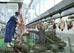 Διασπασμένη σφαγή γραμμών παραγωγής κρέατος πρόβειων κρεάτων αιγών που μεταβιβάζει ολόκληρο τον τύπο επεξεργασίας προμηθευτής