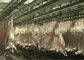 Διασπασμένη σφαγή γραμμών παραγωγής κρέατος πρόβειων κρεάτων αιγών που μεταβιβάζει ολόκληρο τον τύπο επεξεργασίας προμηθευτής