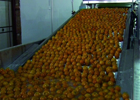 Κίνα Ευφυή φυτικά φρούτων συστήματα μεταφορέων γραμμών παραγωγής αυτόματα συσκευάζοντας προμηθευτής