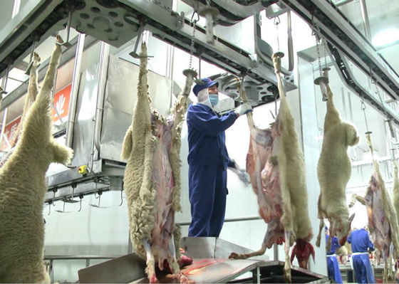 Κίνα Διασπασμένη γραμμή παραγωγής κρέατος αρνιών, περαιτέρω επεξεργασία γραμμών βιομηχανικής παραγωγής προμηθευτής