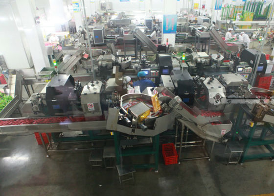 Κίνα Σύστημα επεξεργασίας σαλαμιού χοτ-ντογκ γραμμών παραγωγής λουκάνικων ζαμπόν/γραμμών επεξεργασίας προμηθευτής